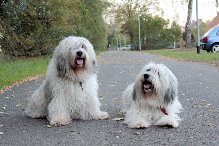 Bilder: Oktober 2014