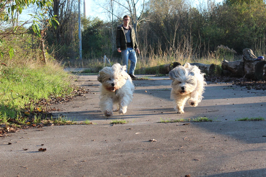 Bilder: Oktober 2014