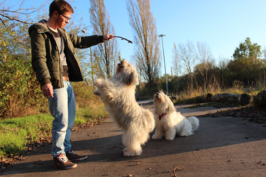 Bilder: Oktober 2014