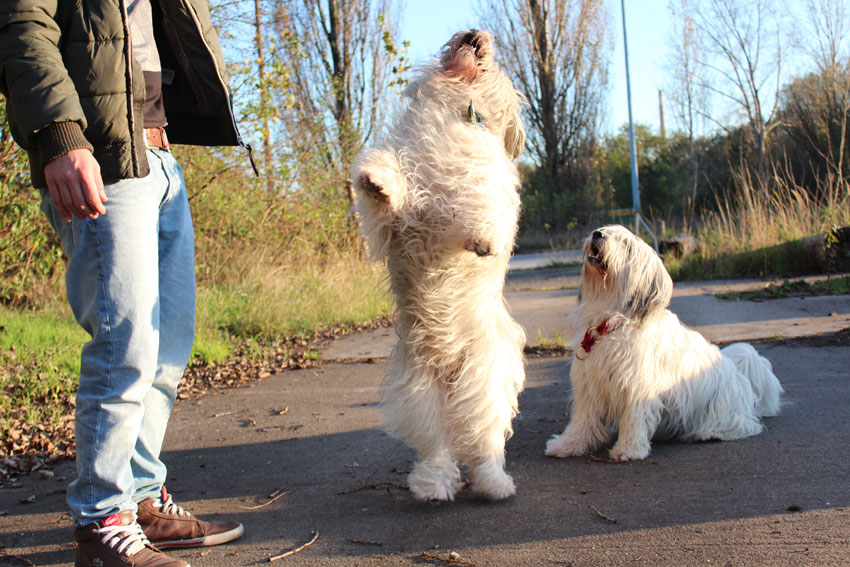 Bilder: Oktober 2014