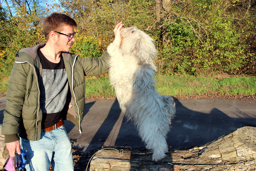 Bilder: Oktober 2014