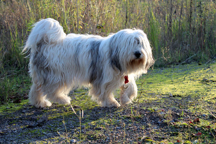 Bilder: Oktober 2014