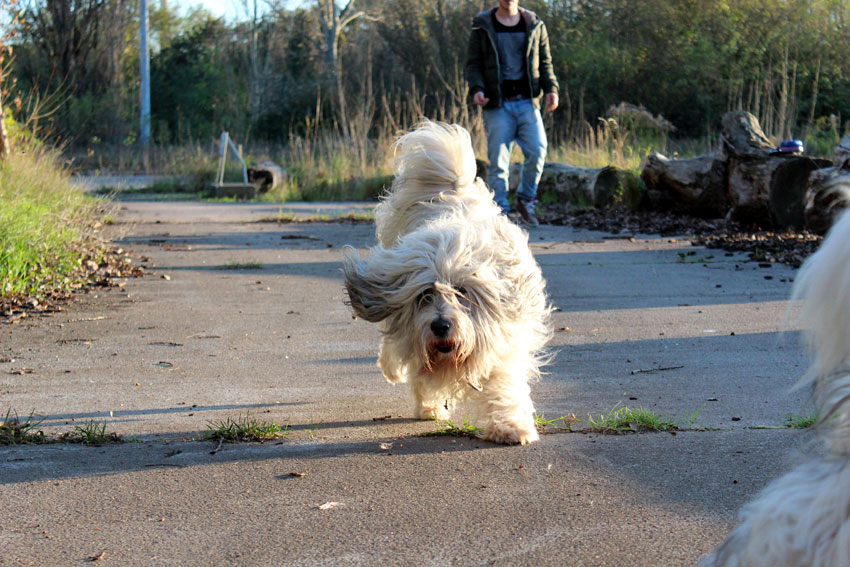 Bilder: Oktober 2014