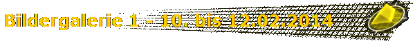 Bildergalerie 1 - 10. bis 12.02.2014