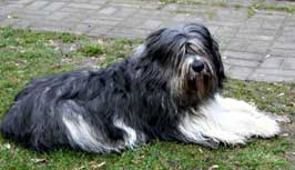 05.09.2008 Besuch bei Mikesch in Schwarzenbek