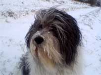 05.09.2008 Besuch bei Mikesch in Schwarzenbek