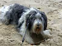 05.09.2008 Besuch bei Mikesch in Schwarzenbek