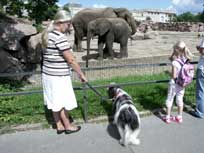 August 2011 -  Medi - im Zoo