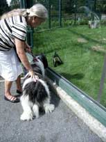 August 2011 -  Medi - im Zoo