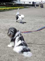 August 2011 -  Medi - im Zoo