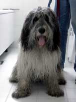 August 2011 -  Schlammbad