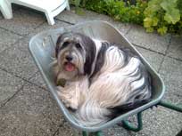 Juni 2011  - Medi's neuer Schlafplatz