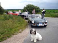 05.09.2008 Besuch bei Mikesch in Schwarzenbek 05.09.2008 Besuch bei Mikesch in Schwarzenbek