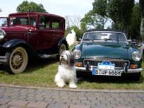 Juli 2009 Merlin Juli 2009 Merlin