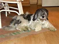 05.09.2008 Besuch bei Mikesch in Schwarzenbek 05.09.2008 Besuch bei Mikesch in Schwarzenbek