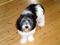 05.09.2008 Besuch bei Mikesch in Schwarzenbek