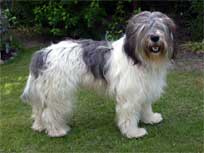 05.09.2008 Besuch bei Mikesch in Schwarzenbek 05.09.2008 Besuch bei Mikesch in Schwarzenbek