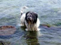 05.09.2008 Besuch bei Mikesch in Schwarzenbek