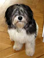 05.09.2008 Besuch bei Mikesch in Schwarzenbek