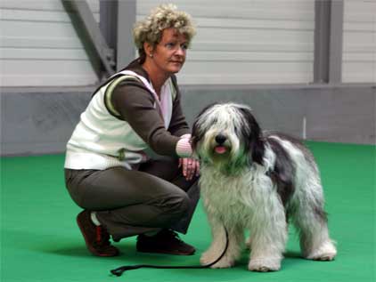 Deutscher Jugendchampion des VDH/APH Dworak z Gangu Dlugich Deutscher Jugendchampion des VDH/APH Dworak z Gangu Dlugich