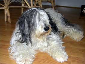 Dworak-2010 Dworak-2010