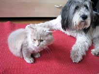 05.09.2008 Besuch bei Mikesch in Schwarzenbek