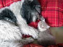 05.09.2008 Besuch bei Mikesch in Schwarzenbek