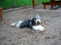 05.09.2008 Besuch bei Mikesch in Schwarzenbek