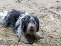 05.09.2008 Besuch bei Mikesch in Schwarzenbek