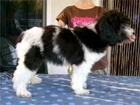 12.08.08: Nami zu Gast bei Mama 12.08.08: Nami zu Gast bei Mama