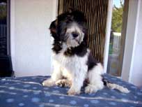 12.08.08: Nami zu Gast bei Mama 12.08.08: Nami zu Gast bei Mama