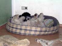 05.09.2008 Besuch bei Mikesch in Schwarzenbek