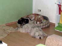 05.09.2008 Besuch bei Mikesch in Schwarzenbek