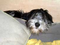 05.09.2008 Besuch bei Mikesch in Schwarzenbek