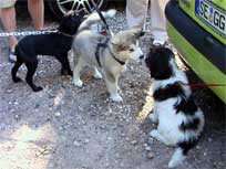 Schulstunde Schulstunde