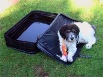 12.08.08: Medi zu Hause 12.08.08: Medi zu Hause