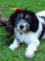 12.08.08: Medi zu Hause