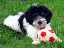 Medi spielt. Aug. 08 Medi spielt. Aug. 08