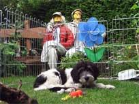 12.08.08: Medi zu Hause