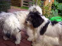 06.09.2008 Besuch bei Medi in Bad Bramstedt 06.09.2008 Besuch bei Medi in Bad Bramstedt