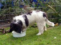 06.09.2008 Besuch bei Medi in Bad Bramstedt 06.09.2008 Besuch bei Medi in Bad Bramstedt