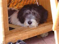 06.09.2008 Besuch bei Medi in Bad Bramstedt 06.09.2008 Besuch bei Medi in Bad Bramstedt