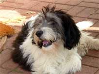 06.09.2008 Besuch bei Medi in Bad Bramstedt 06.09.2008 Besuch bei Medi in Bad Bramstedt