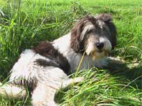 06.09.2008 Besuch bei Medi in Bad Bramstedt 06.09.2008 Besuch bei Medi in Bad Bramstedt