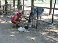 13.08.08: Merlin ist im Tierpark 13.08.08: Merlin ist im Tierpark