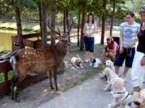 13.08.08: Merlin ist im Tierpark 13.08.08: Merlin ist im Tierpark