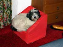 September 2008 Merlin in stereich