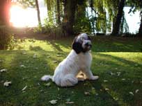 05.09.2008 Besuch bei Mikesch in Schwarzenbek