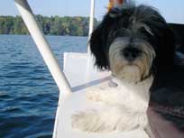 05.09.2008 Besuch bei Mikesch in Schwarzenbek