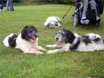 07.092008 Klubschau in Ratekau Mikesch und Medi 07.092008 Klubschau in Ratekau Mikesch und Medi